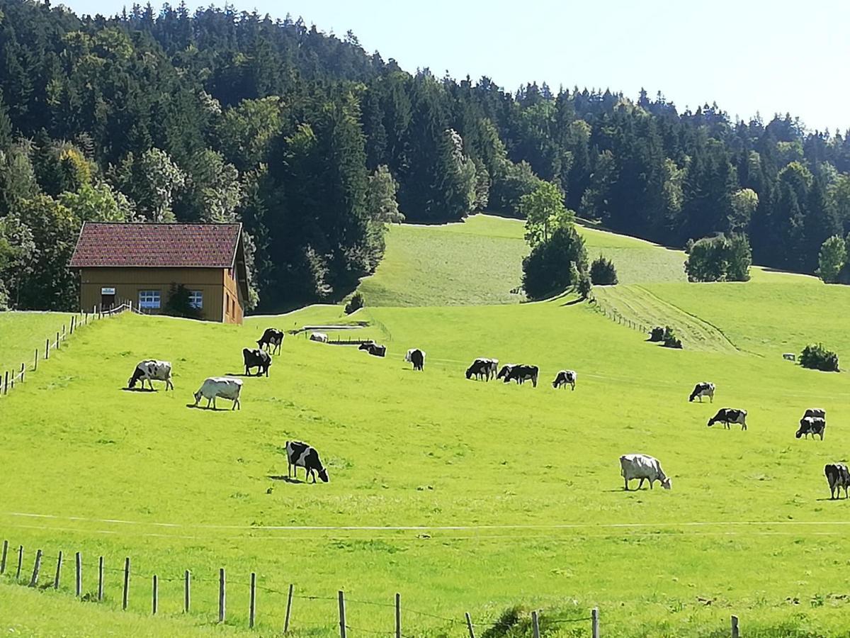 Gemuetliche Wohnung In Einfamilienhaus Alberschwende Esterno foto
