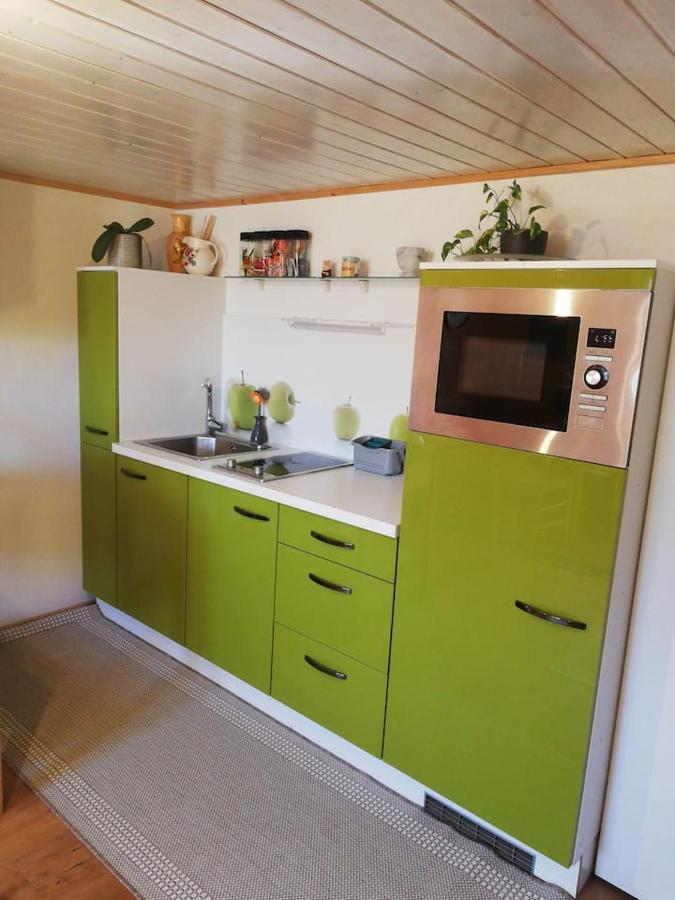 Gemuetliche Wohnung In Einfamilienhaus Alberschwende Esterno foto